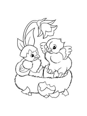 Раскраски Птенец