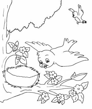Раскраска «Птичка и гнездо»