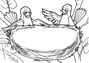 Раскраска «Птички строят гнездо»