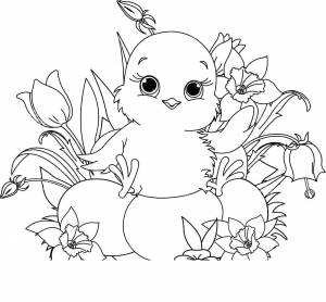 Раскраски гнезде, Раскраска Цыпленок в гнезде с цветами Контуры для вырезания птиц