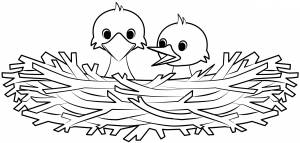 Птенцы в гнезде раскраска
