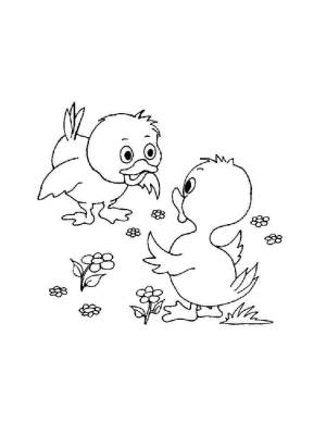 Раскраски Птенец