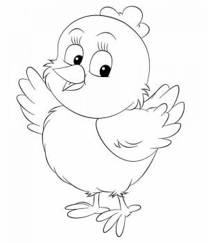 Раскраски Цыпленок рисунок для детей