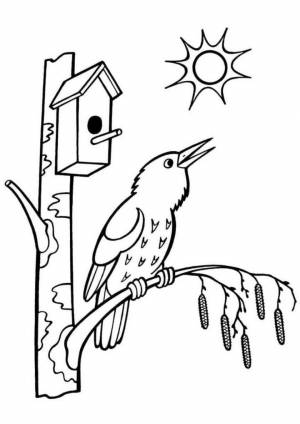 Раскраска Поющая птичка