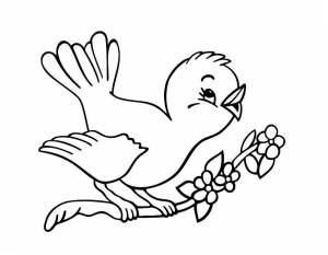 Раскраски Раскраска Птичка поёт на веточке весна