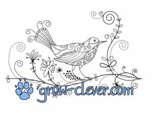 Раскраска птица для детей, картинка весна, раскраски для взрослых