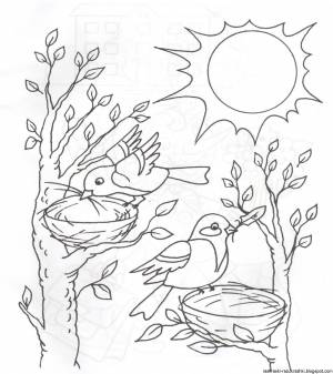 Раскраска весенние птицы