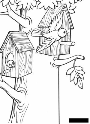 Bird coloring pages, Coloring pages, Art kit