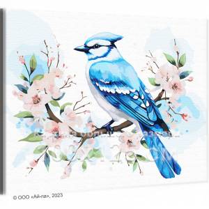 AAAA-NK588-100x125 Голубая сойка на ветвях с цветами Природа Птицы Весна 100х125 Раскраска картина по номерам на холсте недорого