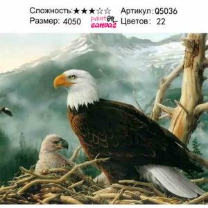 Белоголовый орлан