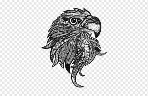 Рисунок Книжка-раскраска Орел, Zentangle, белоголовый орлан, монохромный, позвоночный png