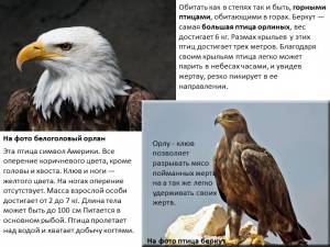 Презентация по биологии Особенности внешнего строения птиц в связи с приспособленностью к полету