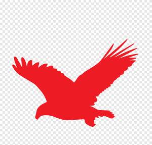 Белоголовый орлан беркут, орел, животные, белоголовый орлан png
