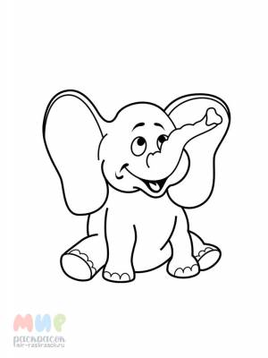 Раскраска Слонен выпил молока бидон