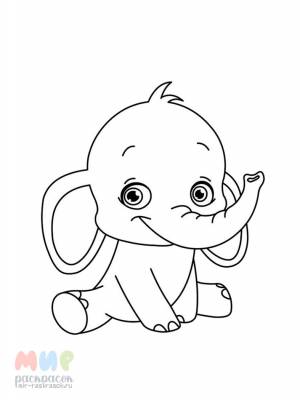 Раскраска Слонен выпил молока бидон