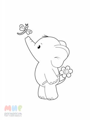 Раскраска Слонен выпил молока бидон