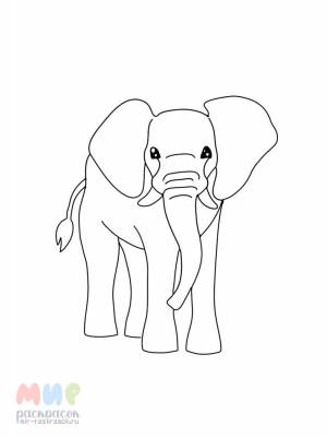 Раскраска Слонен выпил молока бидон