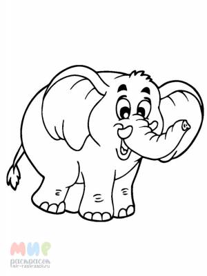 Раскраска Слонен выпил молока бидон