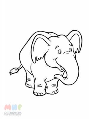 Раскраска Слонен выпил молока бидон