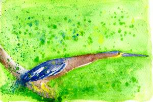 Выпь на охоте в стиле 2D, Скетчи на Illustrators