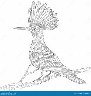 Удод Zentangle стзованный Иллюстрация вектора