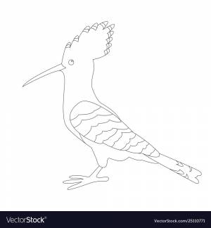 Удод раскраска
