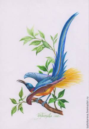 Райская птица