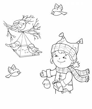 Раскраски «Птицы»