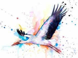 Алмазная живопись, животные, птица, Сова, Орел, колибри, вышивка крестиком Стразы, мозаичные наклейки на стену, домашний декор