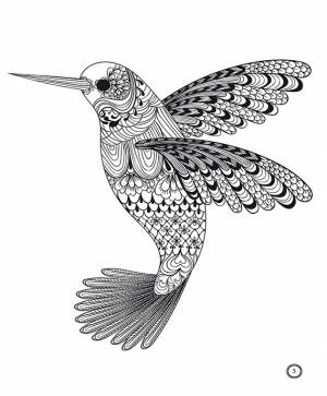 Звери и птицы