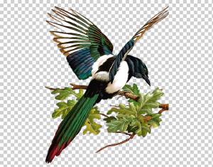 Вышивка Птица Вышивка крестом Посталь Оригинал