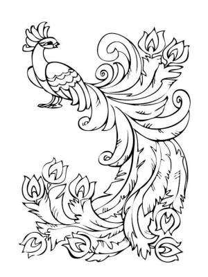 Раскраски Жар-птица