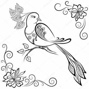 Раскраски жар птица на дереве