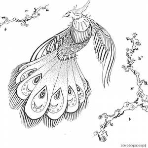 Раскраски маленькая жар птица