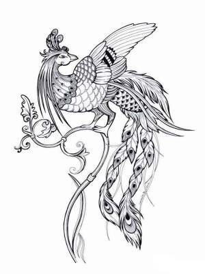 Раскраски Жар-птица