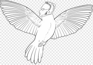 Пиратский попугай Раскраска Птица Амазонка попугай, попугай, ребенок, животные, рука png