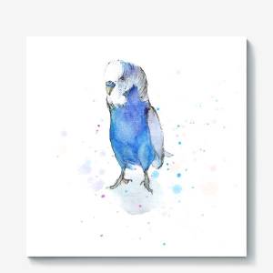 Холст «Волнистый попугай»