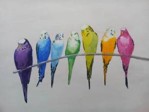 Попугайчики