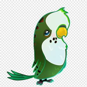 Волнистый попугайчик, Птица, Мультяшная Птица, Домашнее Животное, Рисование, Дизайн, Милая Птичка, png
