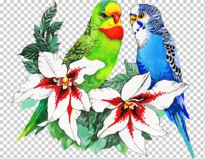 Птица Попугай Цветочный рисунок, попугай, Акварельная живопись, животные, попугай png