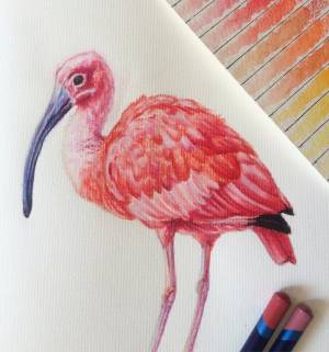 Начинающий художник