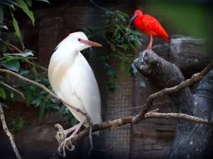 Картинки из зоопарка