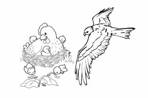 Коршун и наседка