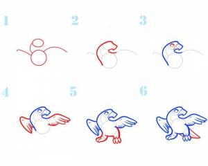 Рисунок коршуна поэтапно