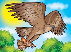 Рисунок коршунов