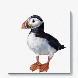 Холст «Морская птица тупик»
