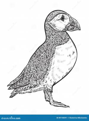 атлантический тупик иллюстрация вектора