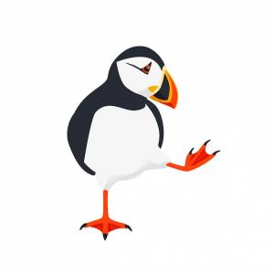 Атлантический тупик птица мультяшный дизайн животных плоская векторная иллюстрация на белом фоне