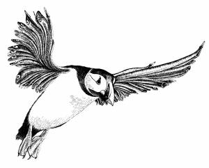 Иллюстрация Тупик в стиле графика, книжная графика, реализм