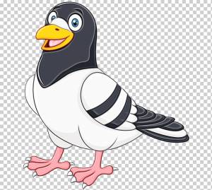 Голуби и голуби Мультяшный рисунок Голубиный столб, Акварель, Краска, Мокрые чернила, Птица, Клюв, Тупик, Нелетающая птица png